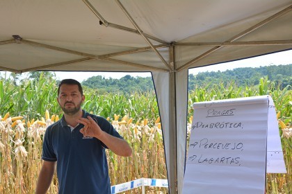 Cotrifred realiza Dia de Campo em Iraí