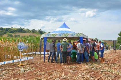 Cotrifred realiza Dia de Campo em Iraí