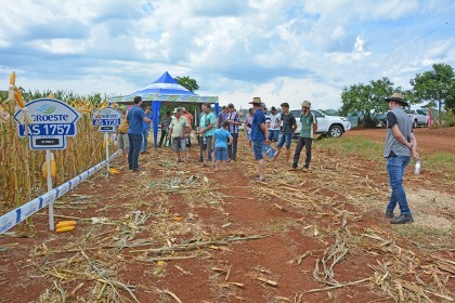 Cotrifred realiza Dia de Campo em Iraí