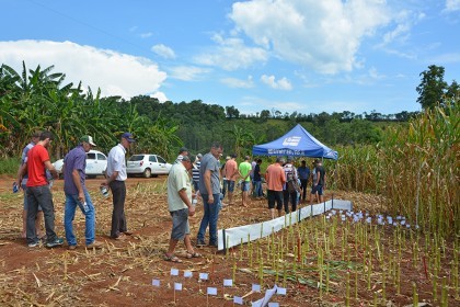 Cotrifred realiza Dia de Campo em Iraí