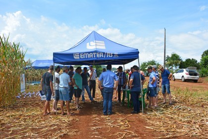 Cotrifred realiza Dia de Campo em Iraí
