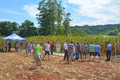 Cotrifred realiza Dia de Campo em Iraí