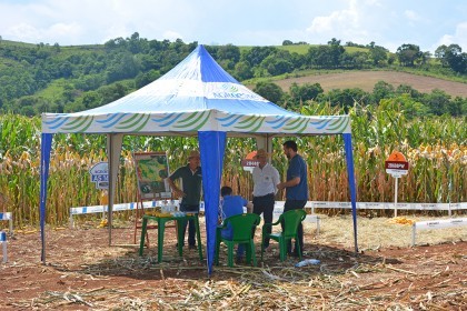 Cotrifred realiza Dia de Campo em Iraí