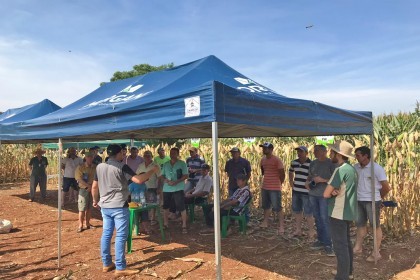 Cotrifred realiza Dia de Campo em Iraí