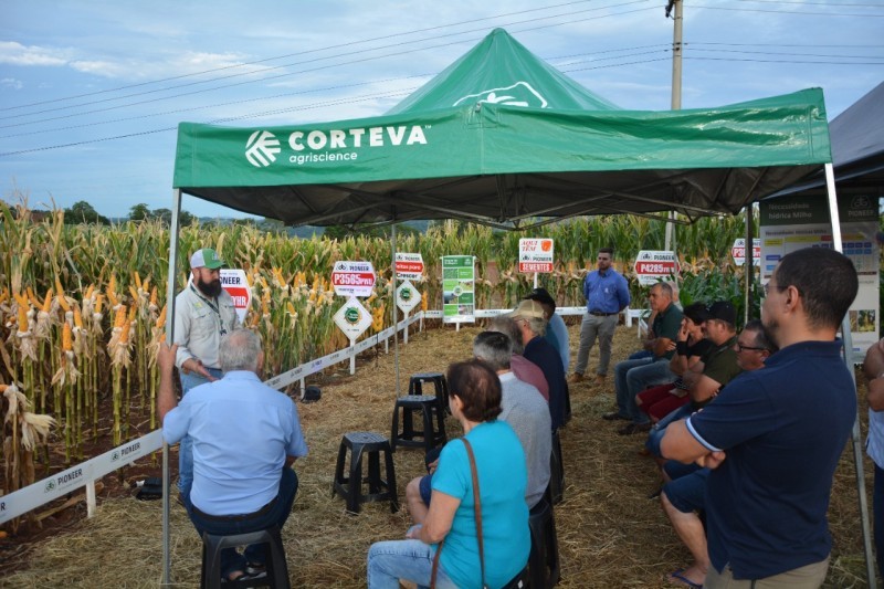 COTRIFRED REALIZA NOITE DE CAMPO COM FOCO EM MILHO