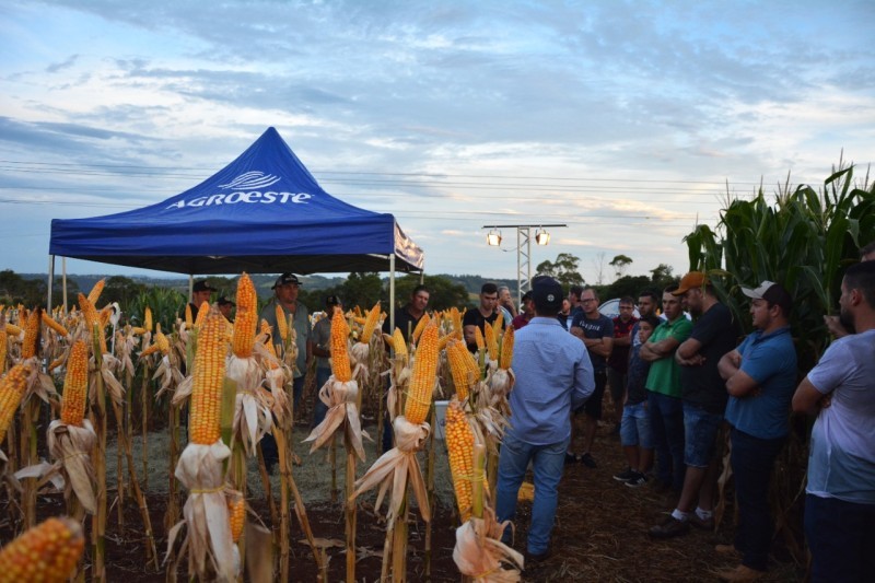 COTRIFRED REALIZA NOITE DE CAMPO COM FOCO EM MILHO