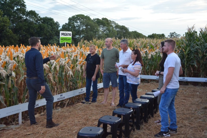 COTRIFRED REALIZA NOITE DE CAMPO COM FOCO EM MILHO