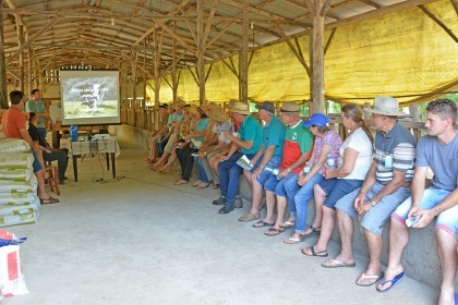 Cotrifred realiza tarde de campo em Frederico Westphalen