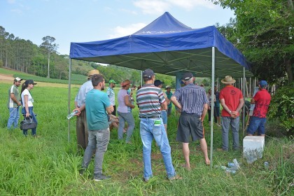 Cotrifred realiza tarde de campo em Frederico Westphalen