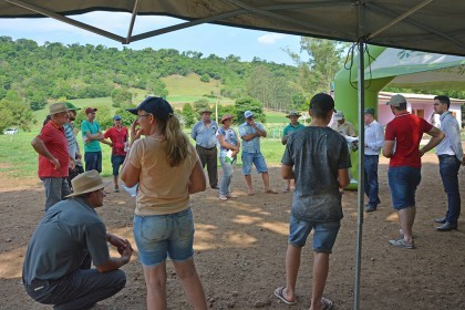 Cotrifred realiza tarde de campo em Frederico Westphalen