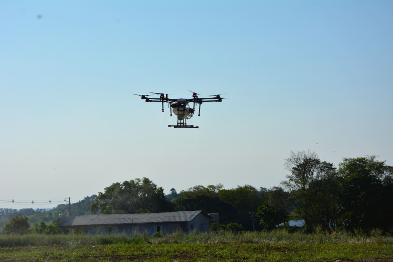Cotrifred realiza Tarde de Campo