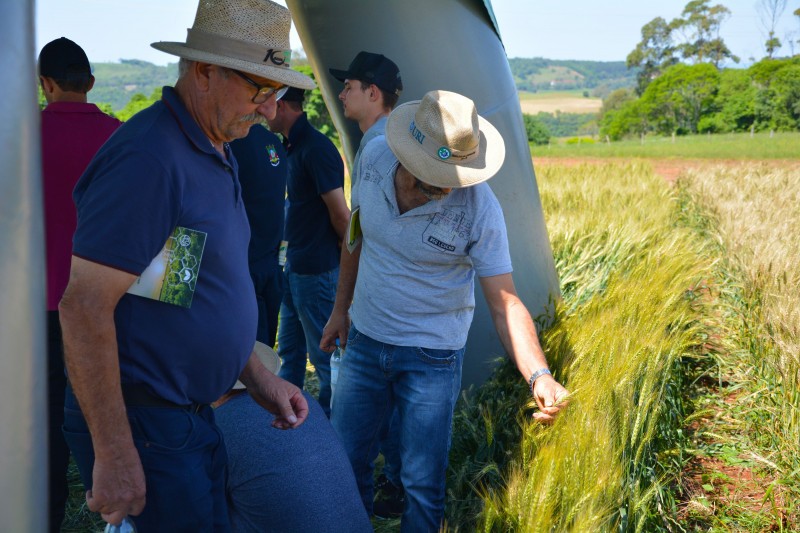 Cotrifred realiza Tarde de Campo
