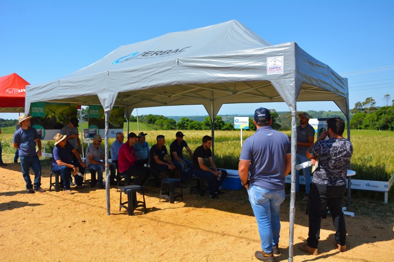Cotrifred realiza Tarde de Campo