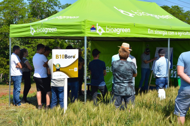 Cotrifred realiza Tarde de Campo