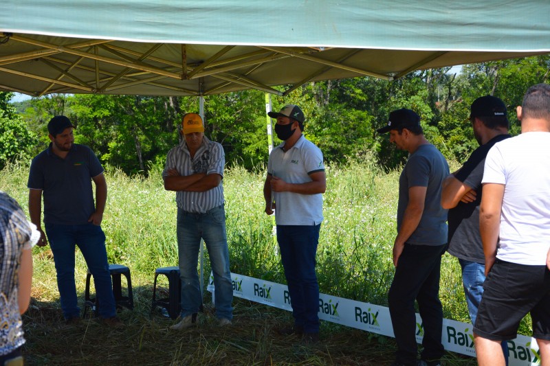 Cotrifred realiza Tarde de Campo