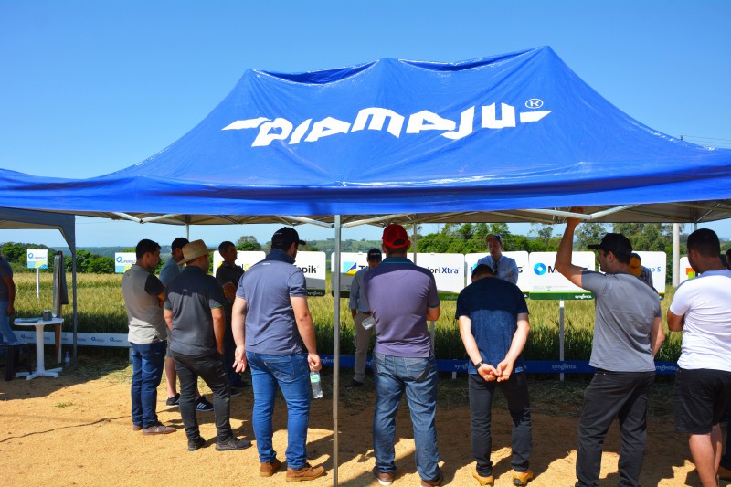 Cotrifred realiza Tarde de Campo