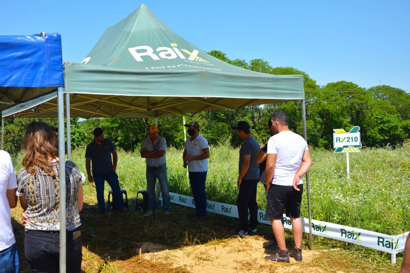 Cotrifred realiza Tarde de Campo