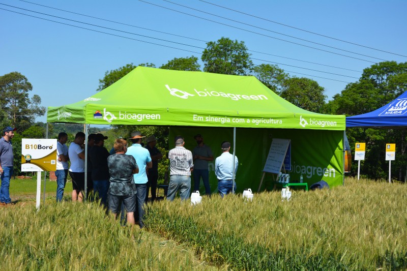 Cotrifred realiza Tarde de Campo