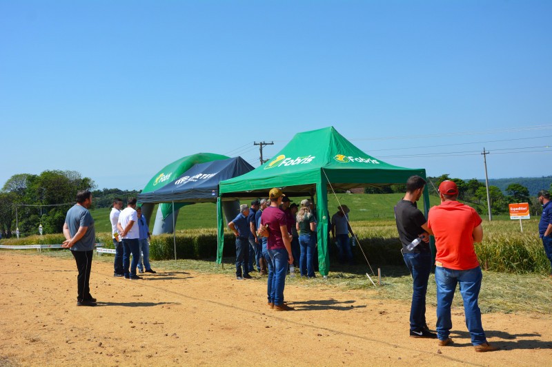 Cotrifred realiza Tarde de Campo