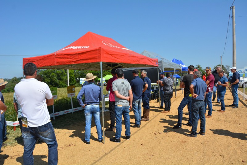 Cotrifred realiza Tarde de Campo