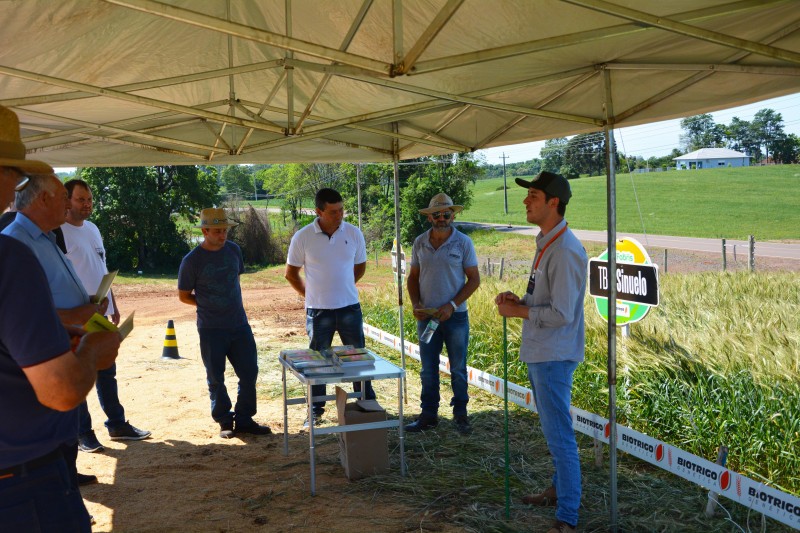 Cotrifred realiza Tarde de Campo