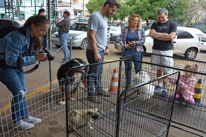 Cotrifred realizou Sábado Pet