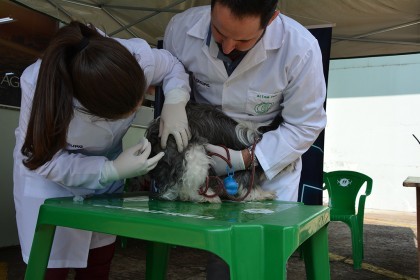 Cotrifred realizou Sábado Pet