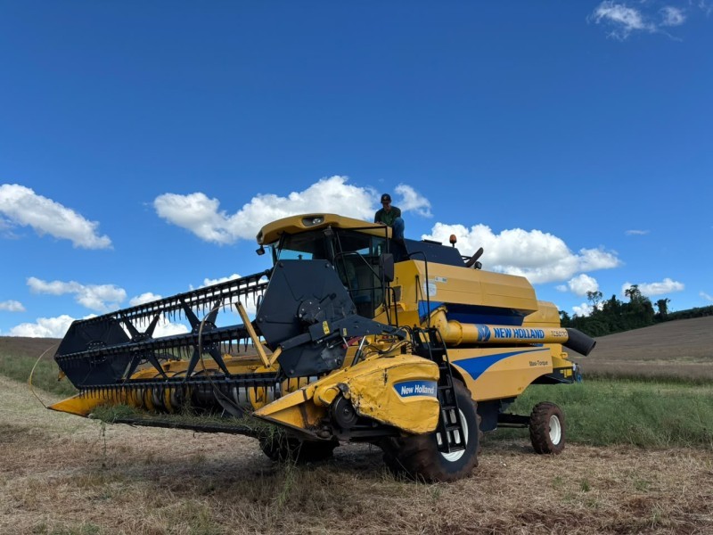 Cotrifred recebe a primeira safra de canola de sua história