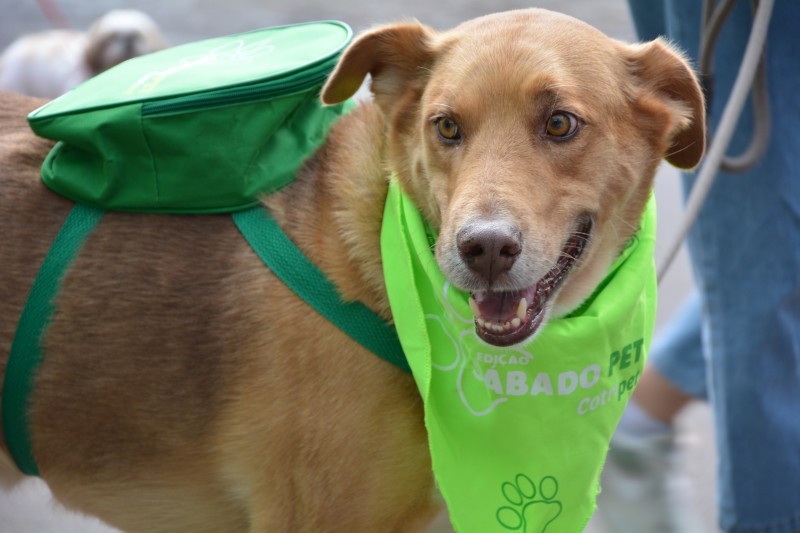 Cotripet realiza mais uma edição de sucesso do Sábado PET