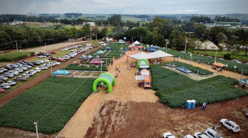 “Cultivares e manejo de soja” é tema de Dia de Campo Cotrifred