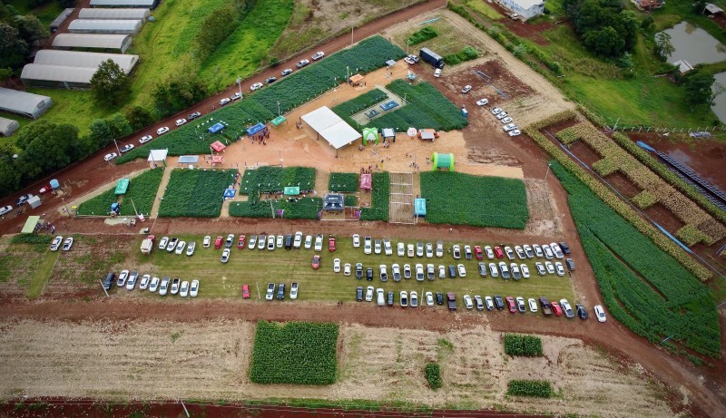 “Cultivares e manejo de soja” é tema de Dia de Campo Cotrifred