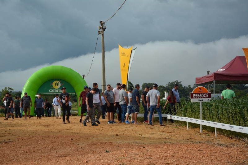 “Cultivares e manejo de soja” é tema de Dia de Campo Cotrifred
