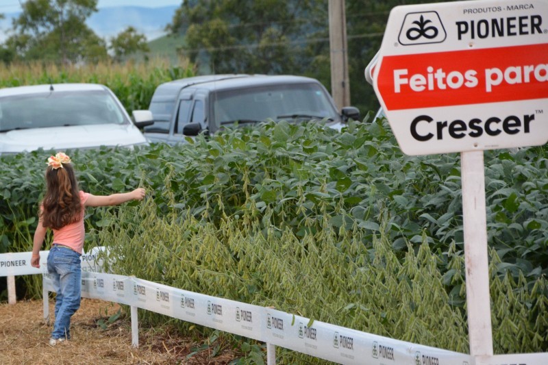 “Cultivares e manejo de soja” é tema de Dia de Campo Cotrifred