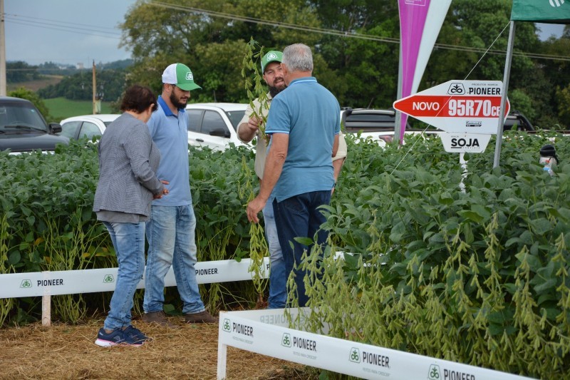 “Cultivares e manejo de soja” é tema de Dia de Campo Cotrifred