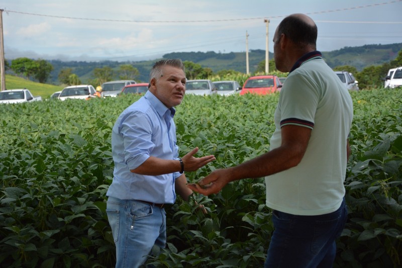 “Cultivares e manejo de soja” é tema de Dia de Campo Cotrifred