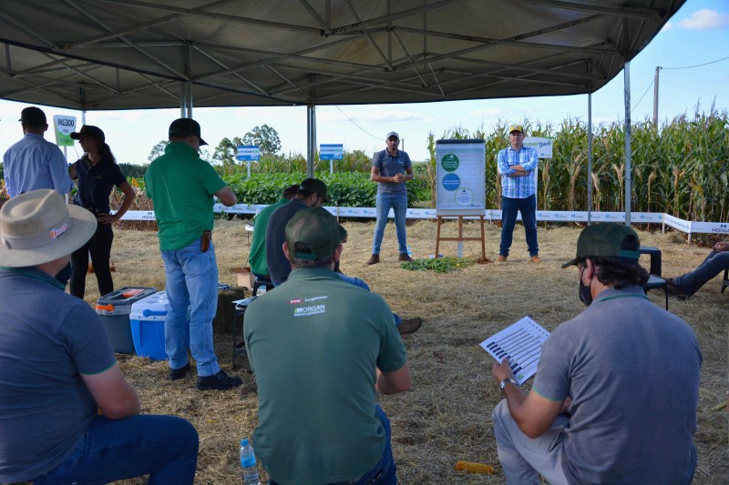 Departamento Técnico da Cotrifred participa de treinamento