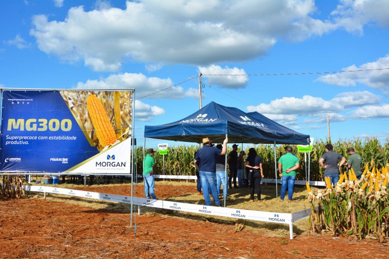 Departamento Técnico da Cotrifred participa de treinamento