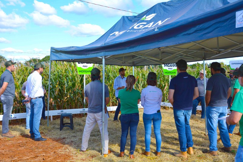 Departamento Técnico da Cotrifred participa de treinamento
