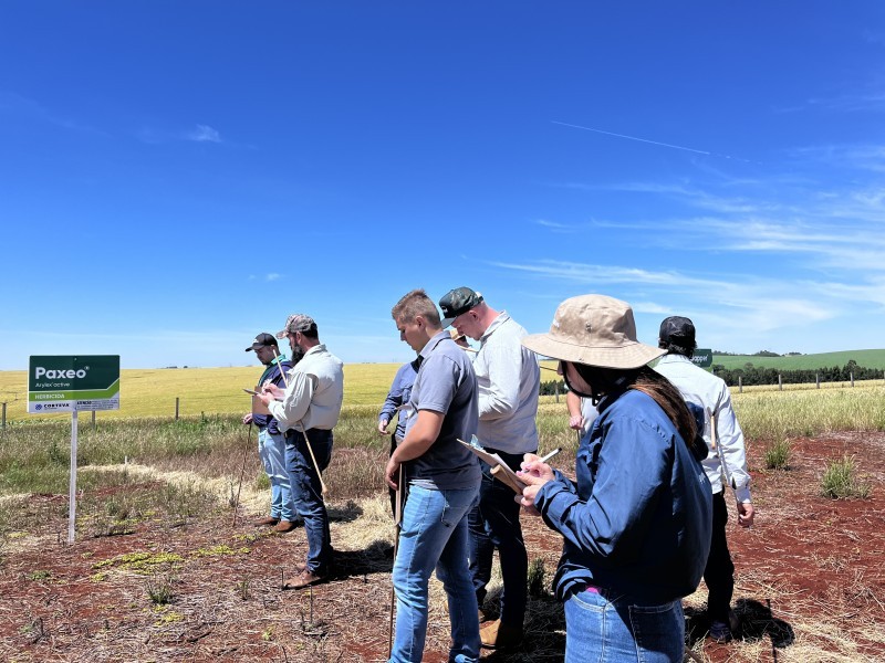 Departamento Técnico da Cotrifred realiza Tour de Herbicidas com a parceira Comercial Corteva