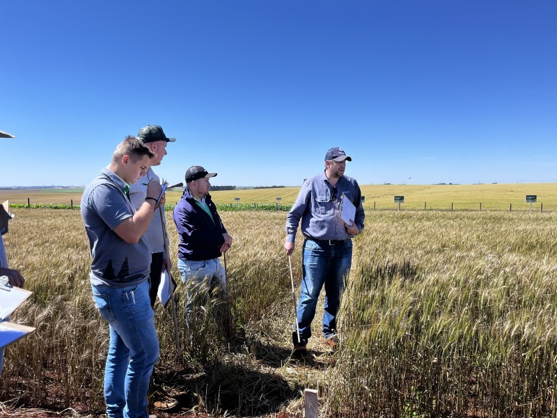 Departamento Técnico da Cotrifred realiza Tour de Herbicidas com a parceira Comercial Corteva