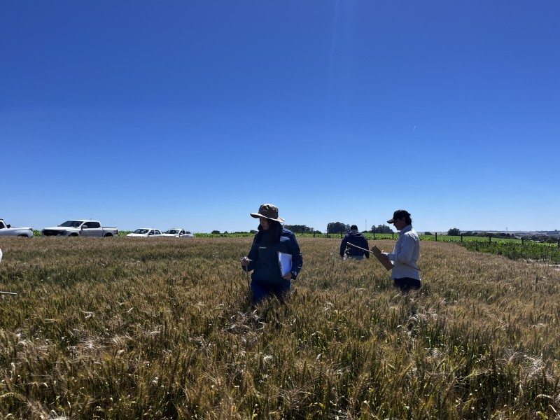 Departamento Técnico da Cotrifred realiza Tour de Herbicidas com a parceira Comercial Corteva