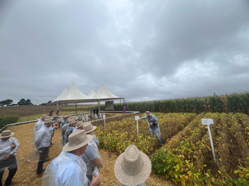 Detec da Cotrifred Agro participa do Agronomy Day, em Passo Fundo