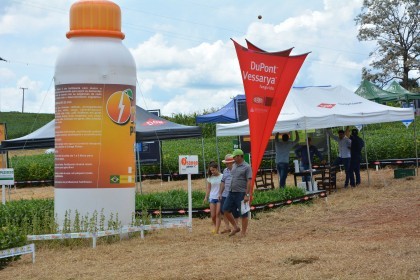 Dia de campo destaca cultivares de soja e milho