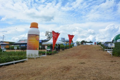Dia de campo destaca cultivares de soja e milho
