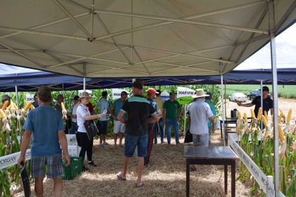 Dia de campo destaca cultivares de soja e milho