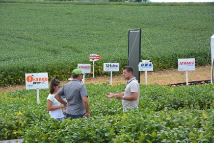 Dia de campo destaca cultivares de soja e milho