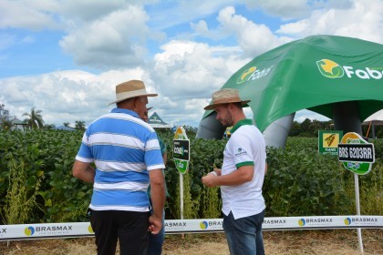 Dia de campo destaca cultivares de soja e milho