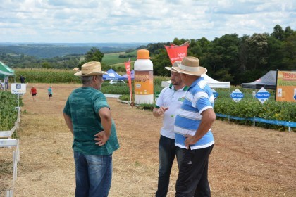 Dia de campo destaca cultivares de soja e milho