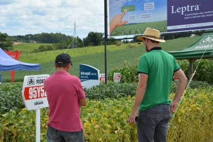 Dia de campo destaca cultivares de soja e milho