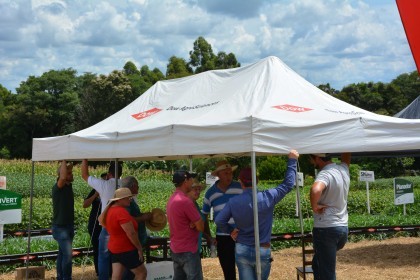 Dia de campo destaca cultivares de soja e milho